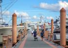 Extra wide main piers of Palm Harbor Marina in South Florida